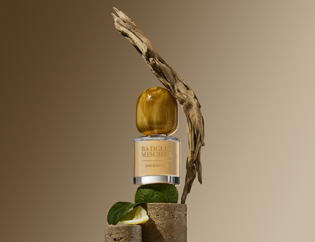 HORIZON WEBSITE-BADGLEY MISCHKA 3